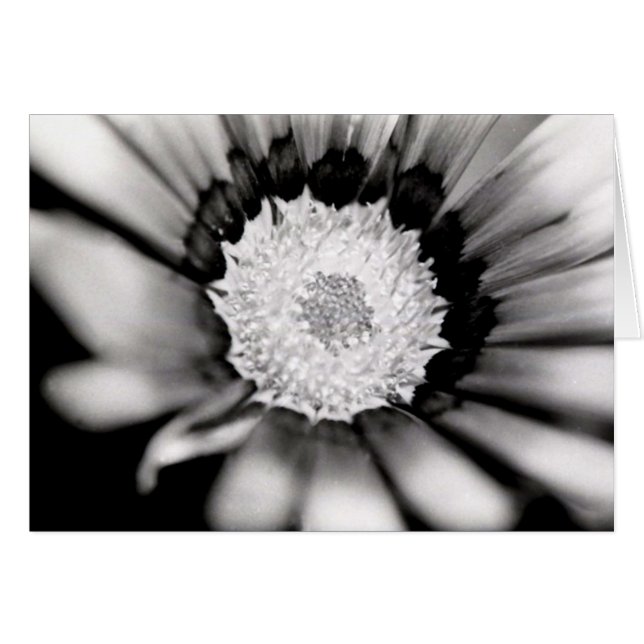 Blumen-Studie (Vorderseite (Horizontal))