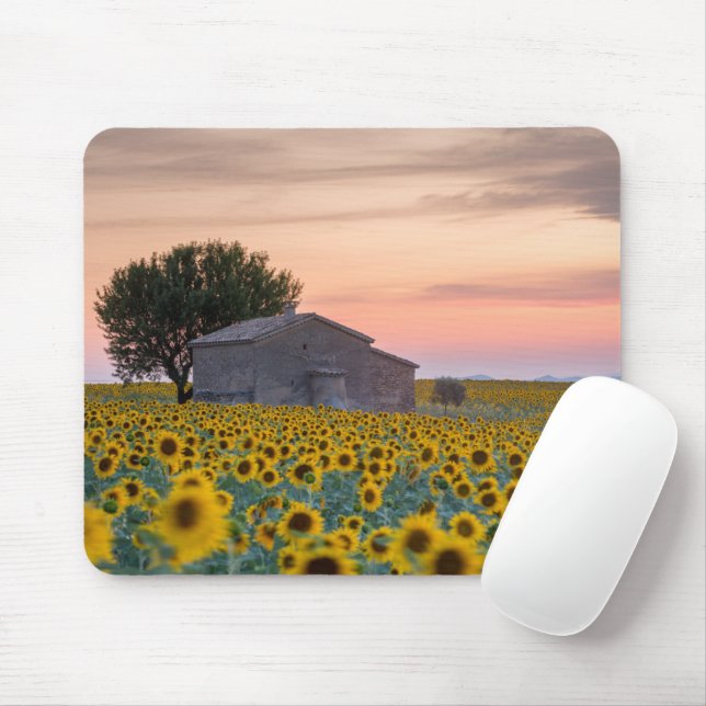 Blumen | Sunflower Field Provence, Frankreich Mousepad (Mit Mouse)