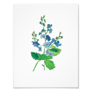 Blumen-Tattoo-Druck Fotodruck