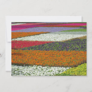 Blumen Teppich Feiertagskarte