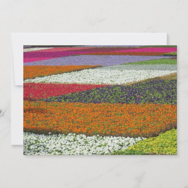 Blumen Teppich Feiertagskarte (Vorderseite)