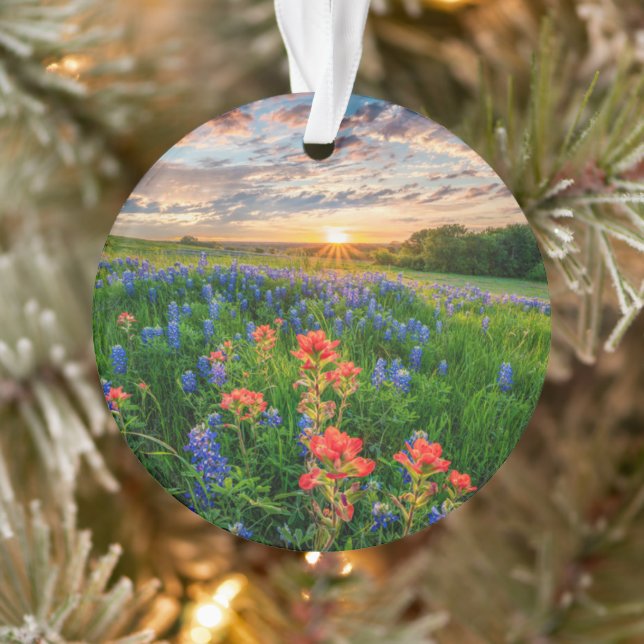 Blumen | Texas Bluebonnets & Indian Paintbrush Ornament (Baum)