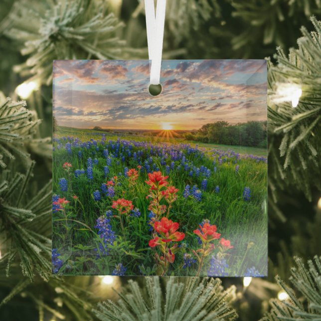 Blumen | Texas Bluebonnets & Indian Paintbrush Ornament Aus Glas (Insitu)