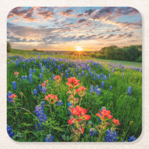 Blumen   Texas Bluebonnets & Indian Paintbrush Rechteckiger Pappuntersetzer