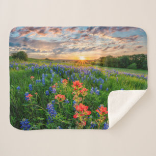Blumen   Texas Bluebonnets & Indian Paintbrush Sherpadecke