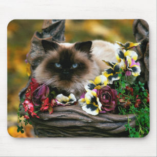Blumen-Topf-Katze Mousepad