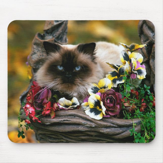 Blumen-Topf-Katze Mousepad (Vorne)