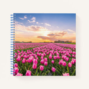 Blumen   Tulips South Holland, Niederlande Notizbuch
