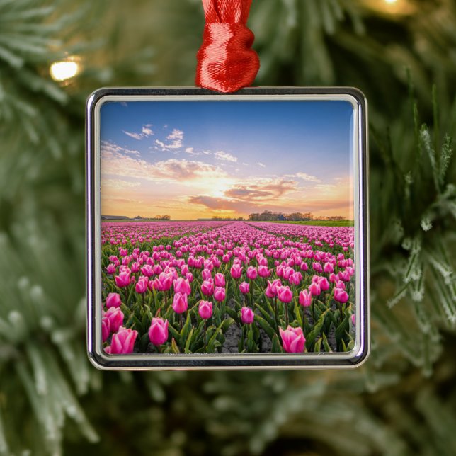 Blumen | Tulips South Holland, Niederlande Ornament Aus Metall (Baum)