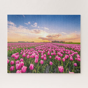 Blumen Tulips South Holland, Niederlande Puzzle
