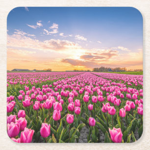 Blumen Tulips South Holland, Niederlande Rechteckiger Pappuntersetzer