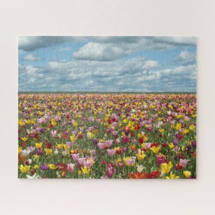 Blumen   Tulips Willamette Valley Oregon Puzzle