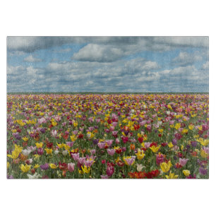 Blumen   Tulips Willamette Valley Oregon Schneidebrett