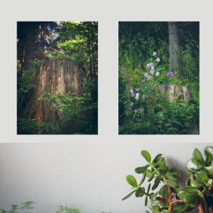 Blumen und ein Baumstumpf im Sommer Wald Bilderwand Sets