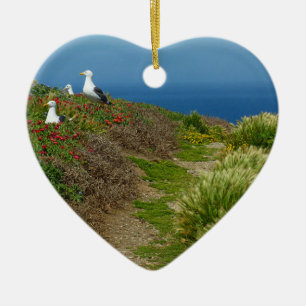 Blumen und Möwen auf Anacapa Island Keramik Ornament
