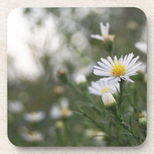 Blumen Untersetzer