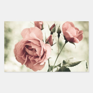 Blumen Vintage Rosa Rosenblüten - Hochzeitsfeier Rechteckiger Aufkleber
