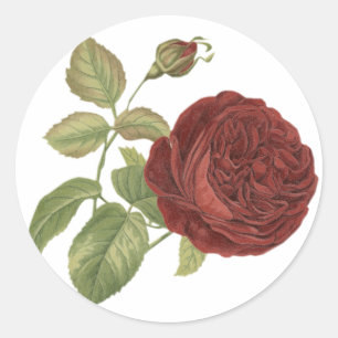 Blumen Vintage Rote Burgunderrose - Hochzeit Runder Aufkleber
