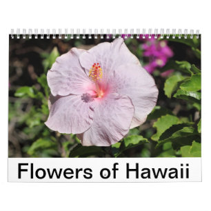 Blumen von Hawaii Kalender