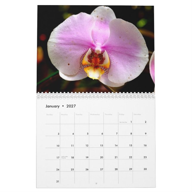 Blumen von Hawaii Kalender (Jan 2027)