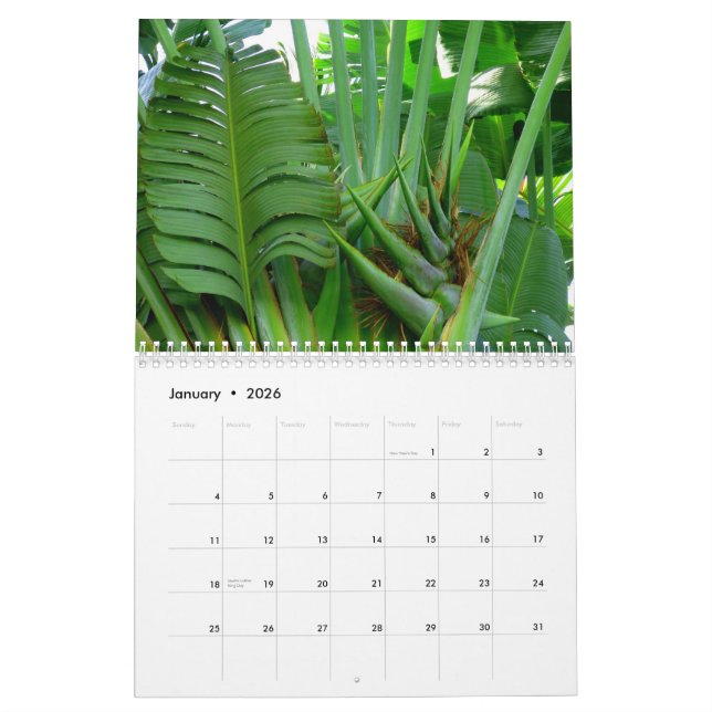 Blumen von Hawaii Kalender (Jan 2026)