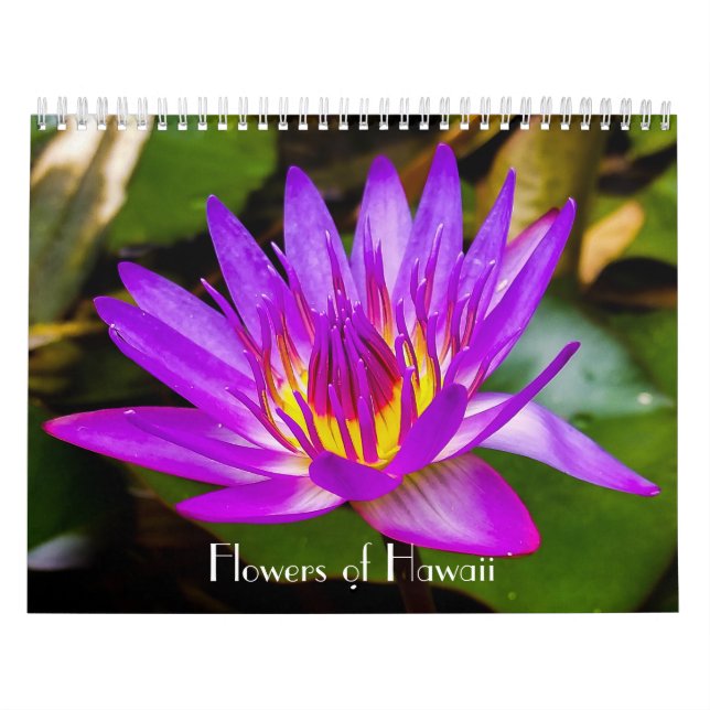 Blumen von Hawaii Kalender (Titelbild)