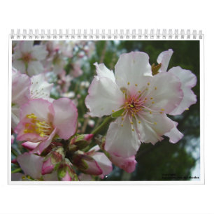 Blumen von Israel Kalender