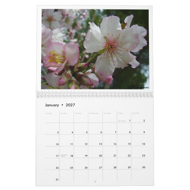 Blumen von Israel Kalender (Jan 2027)