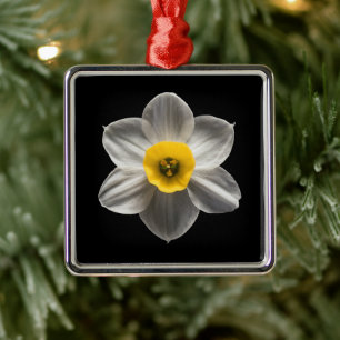 Blumen   Weiße affodische Blume Ornament Aus Metall