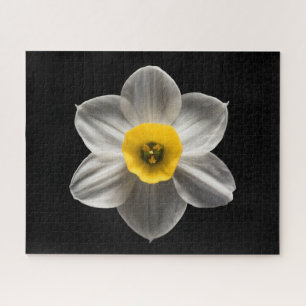 Blumen   Weiße affodische Blume Puzzle