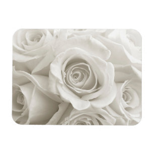 Blumen   Weiße Rosen Magnet