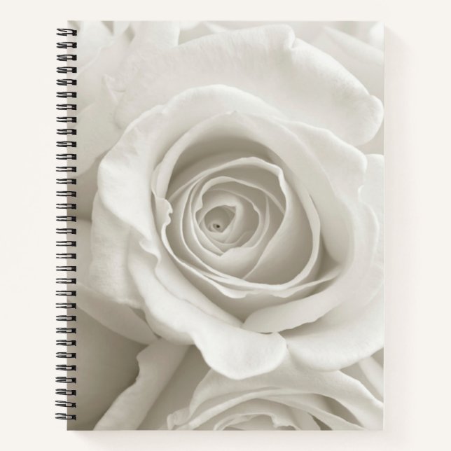 Blumen | Weiße Rosen Notizbuch (Vorderseite)