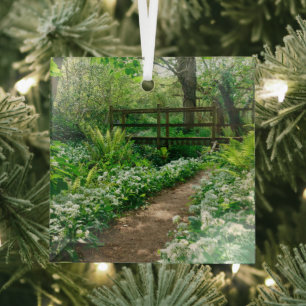 Blumen   Weiße Wildblumen im Wald Ornament Aus Glas