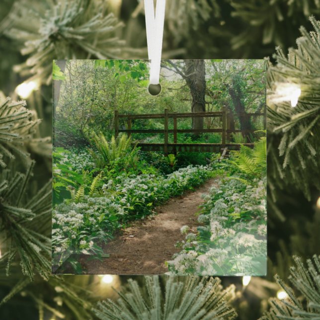 Blumen | Weiße Wildblumen im Wald Ornament Aus Glas (Insitu)