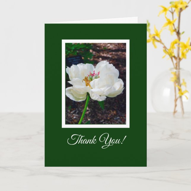 Blumen/Weißes Peony/ Danke Karte (Gelbe Blume)