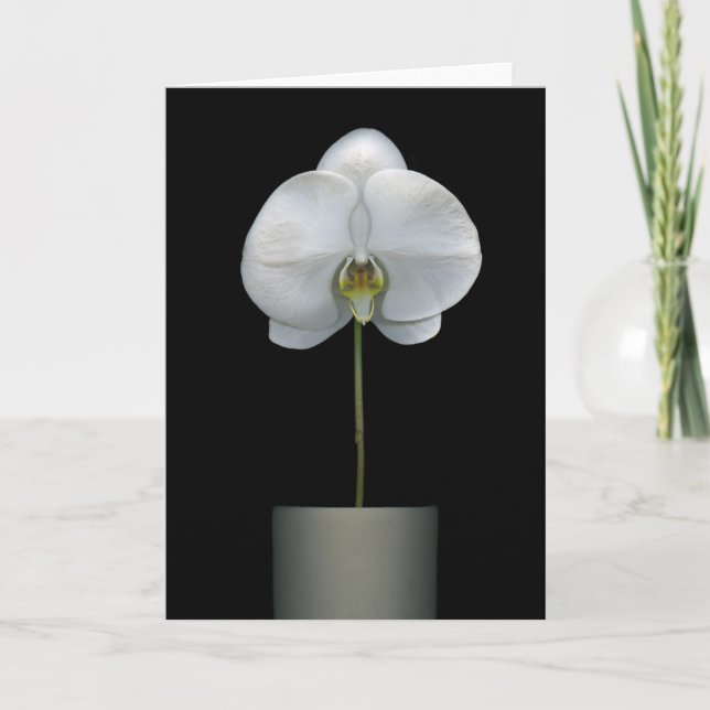 Blumen | Weißorchid-Blume Karte (Vorderseite)