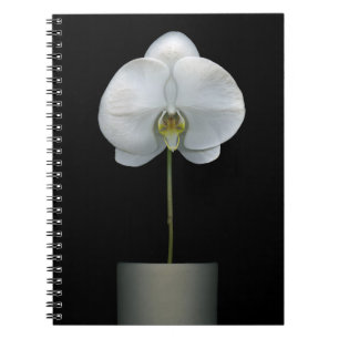 Blumen   Weißorchid-Blume Notizblock