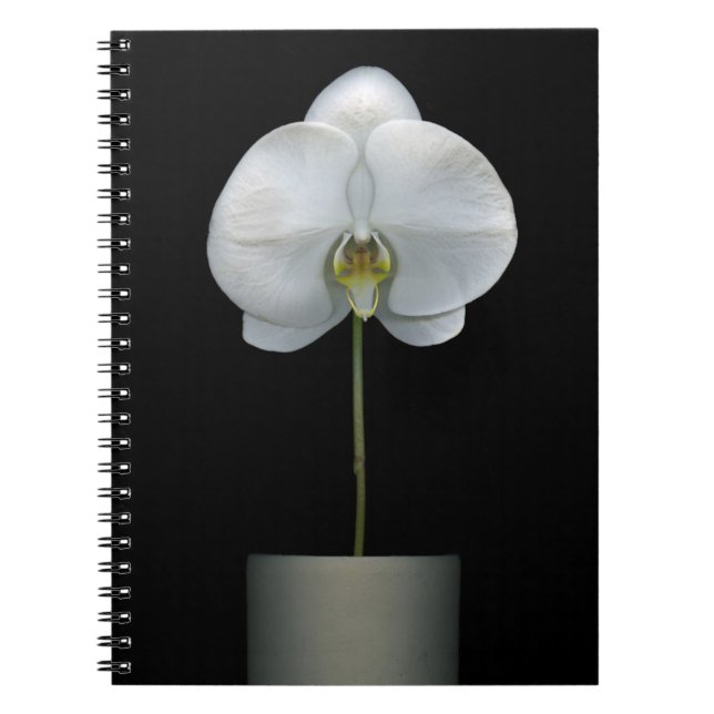 Blumen | Weißorchid-Blume Notizblock (Vorderseite)