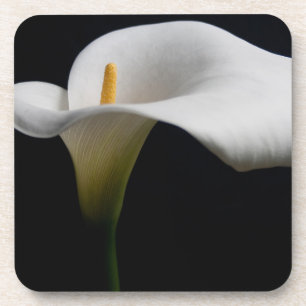 Blumen   White Calla Lily Getränkeuntersetzer