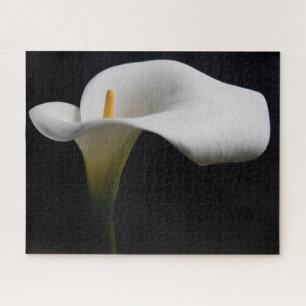 Blumen   White Calla Lily Puzzle