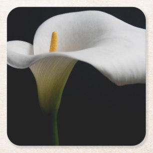 Blumen   White Calla Lily Rechteckiger Pappuntersetzer