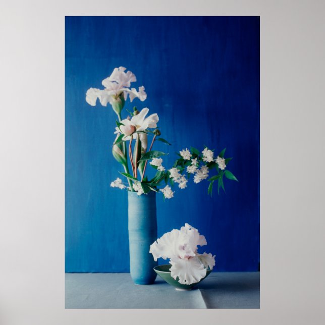 Blumen | White Iris in Vase Poster (Vorne)