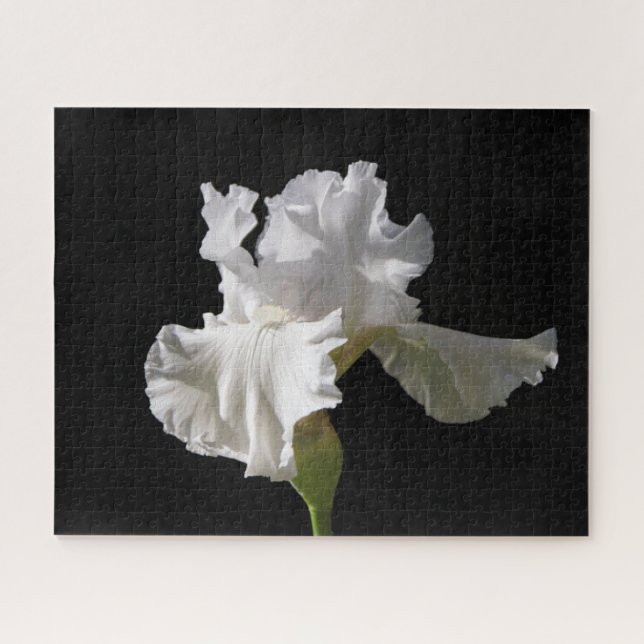 Blumen | White Iris Puzzle (Horizontal)