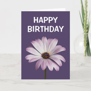 Blumen White & Lila Daisy Karte