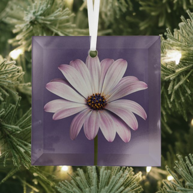 Blumen | White & Lila Daisy Ornament Aus Glas (Insitu)