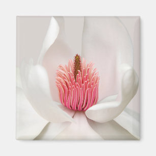 Blumen   White Magnolia Magnet