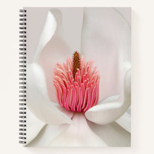 Blumen   White Magnolia Notizbuch