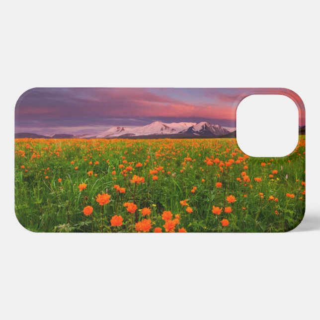 Blumen | Wildblume Felsschneebedeckte Berge iPhone Hülle (Rückseite (Horizontal))