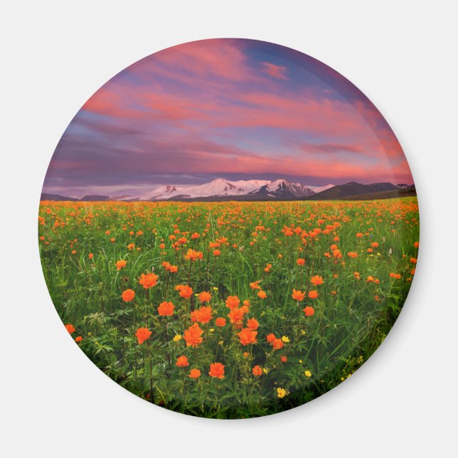 Blumen | Wildblume Felsschneebedeckte Berge Magnet (Vorne)