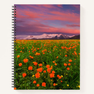 Blumen   Wildblume Felsschneebedeckte Berge Notizbuch